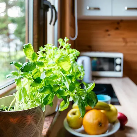 Nadmorski Zakatek 度假居