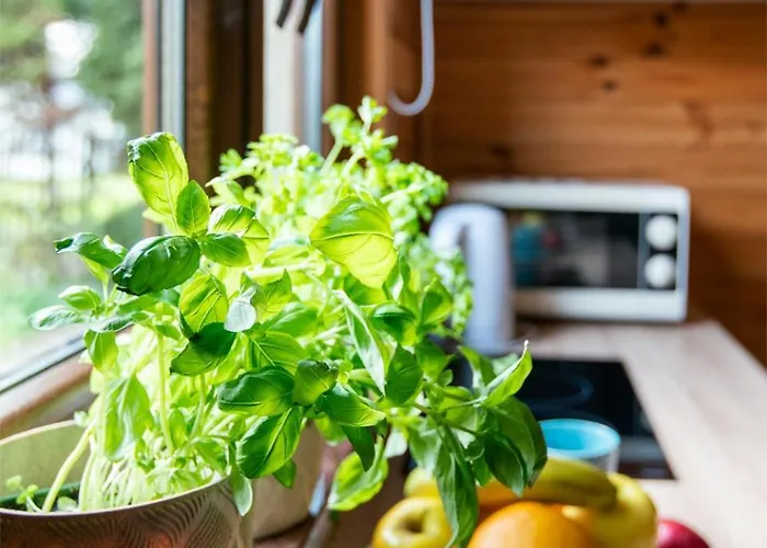 Nadmorski Zakatek Semesterbostad